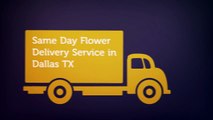 Call @ (469) 518-5559 For Send Flowers Dallas TX