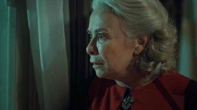 İstanbullu Gelin 37. Bölüm Tual Pencere