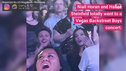 Hailee Steinfeld, Niall Horan Dating Or No???