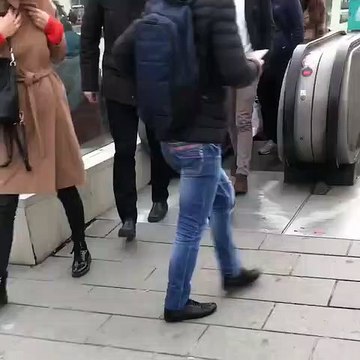 Un chat snobbe des passants en haut d'un escalator