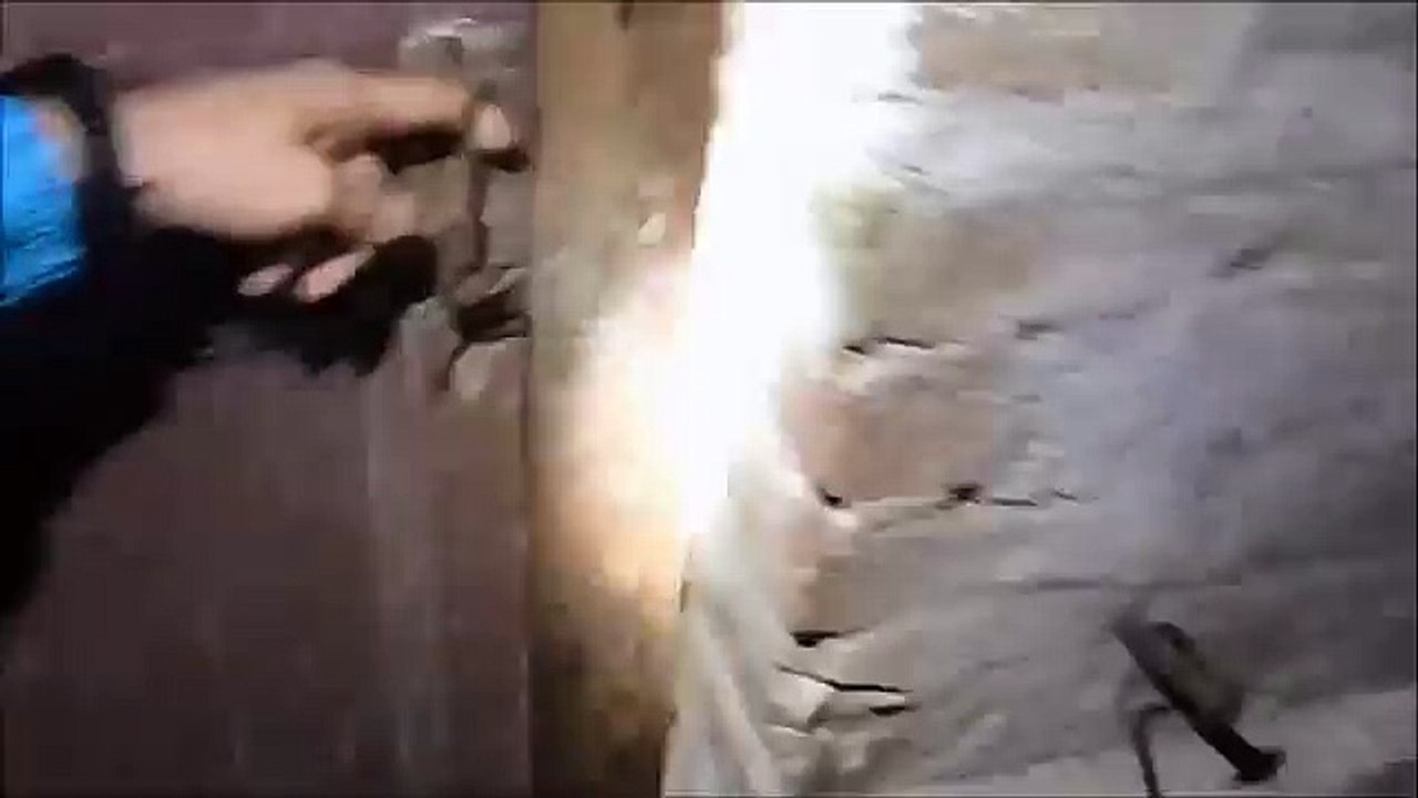 MATTEO MONTESI E LA TARANTOLA COLOR VOMITO