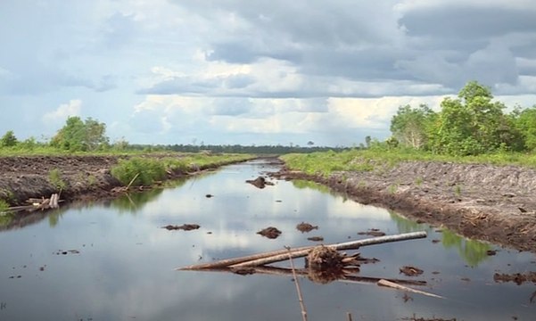 Ancaman Krisis Lahan Gambut - BERKAS KOMPAS (2)