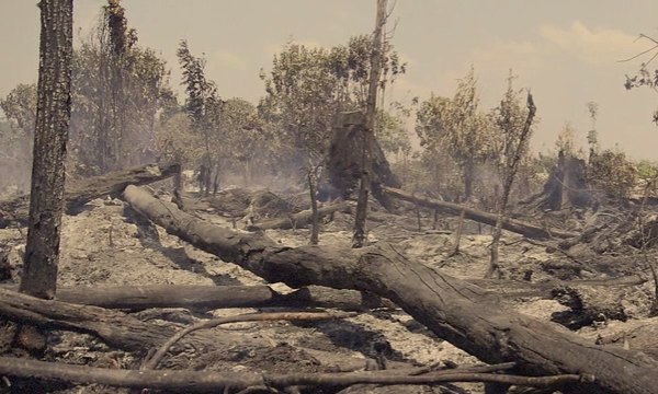 Ancaman Krisis Lahan Gambut - BERKAS KOMPAS (3)