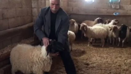 Dini Nikah Kıydığı 2 Suriyeli Kadın Tarafından Dolandırıldı