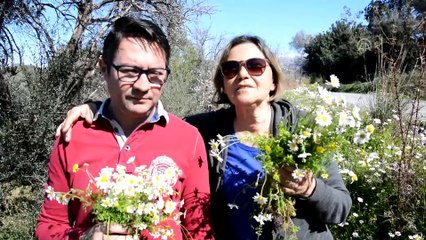 Cemre havaya düştü - ANTALYA