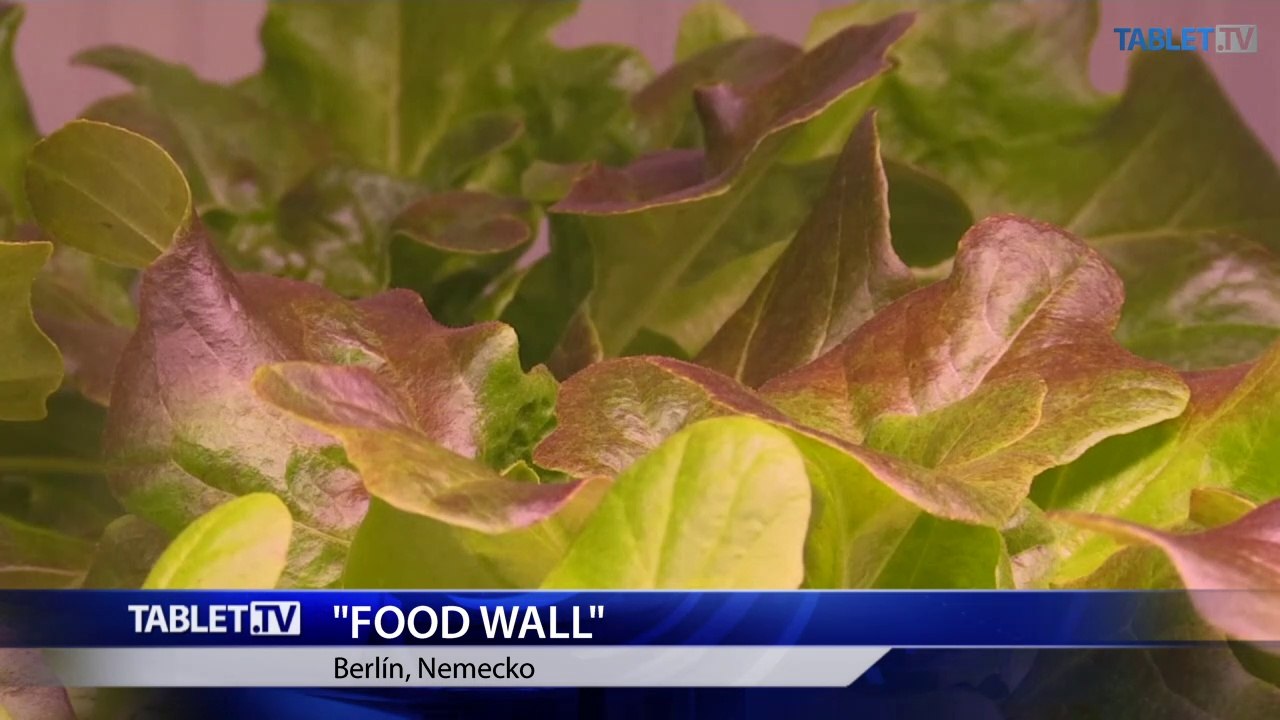 Lepší gastronomický zážitok budete mať vďaka Food Wall