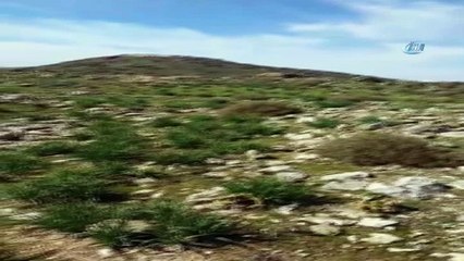 - Afrin'in batısında iki köy daha alındı