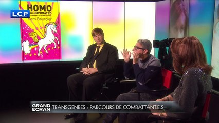 GRAND ECRAN - DEBAT -  Transgenres  parcours de combattant.e.s