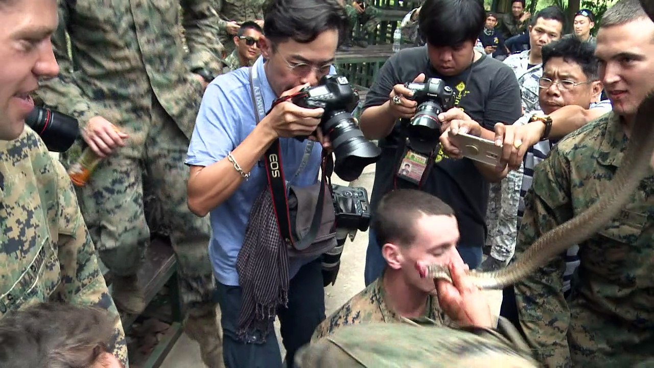 Marines drink cobra blood in US-Thai war drills