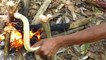 Primitive Technology - shoot cobra snake by catapult - cooking wild snake eating delicious