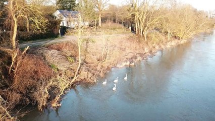 Vol avec les oiseaux de la Loire (drone)