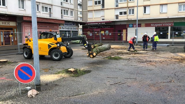 Adieu les marronniers de la place du Point du jour