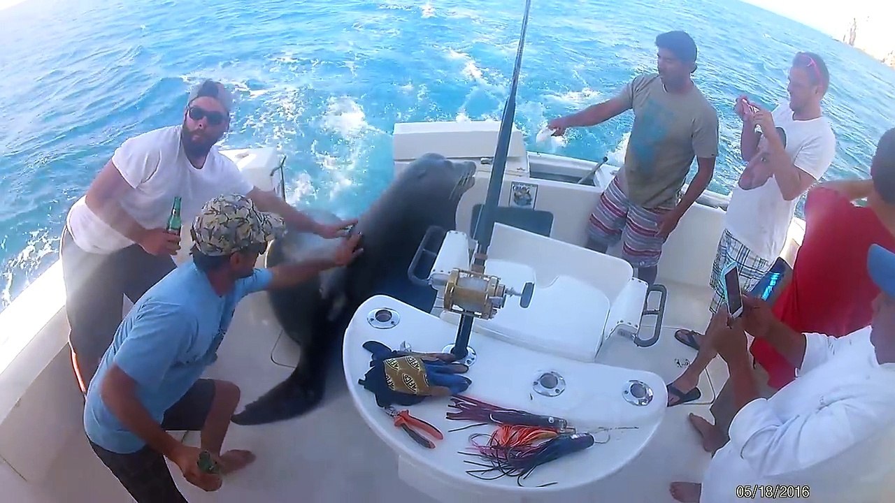 amezing funey fishing
