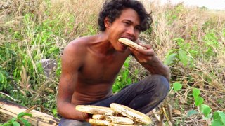 Primitive Technology - Find bees in Land - Eating sweet Honey delicious