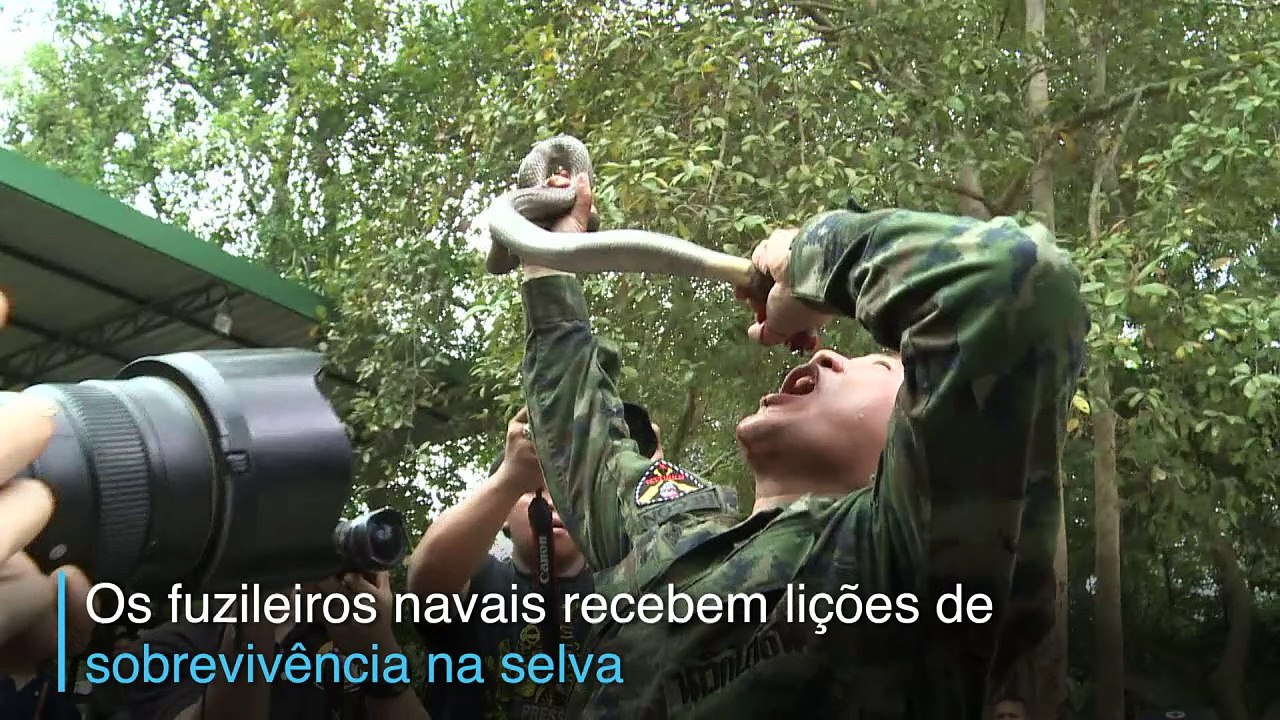 Sangue de cobra