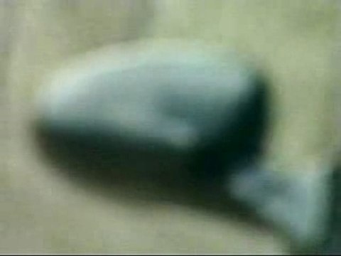 Alpina B10 V8S vs Audi RS6 vs BMW E39 M5