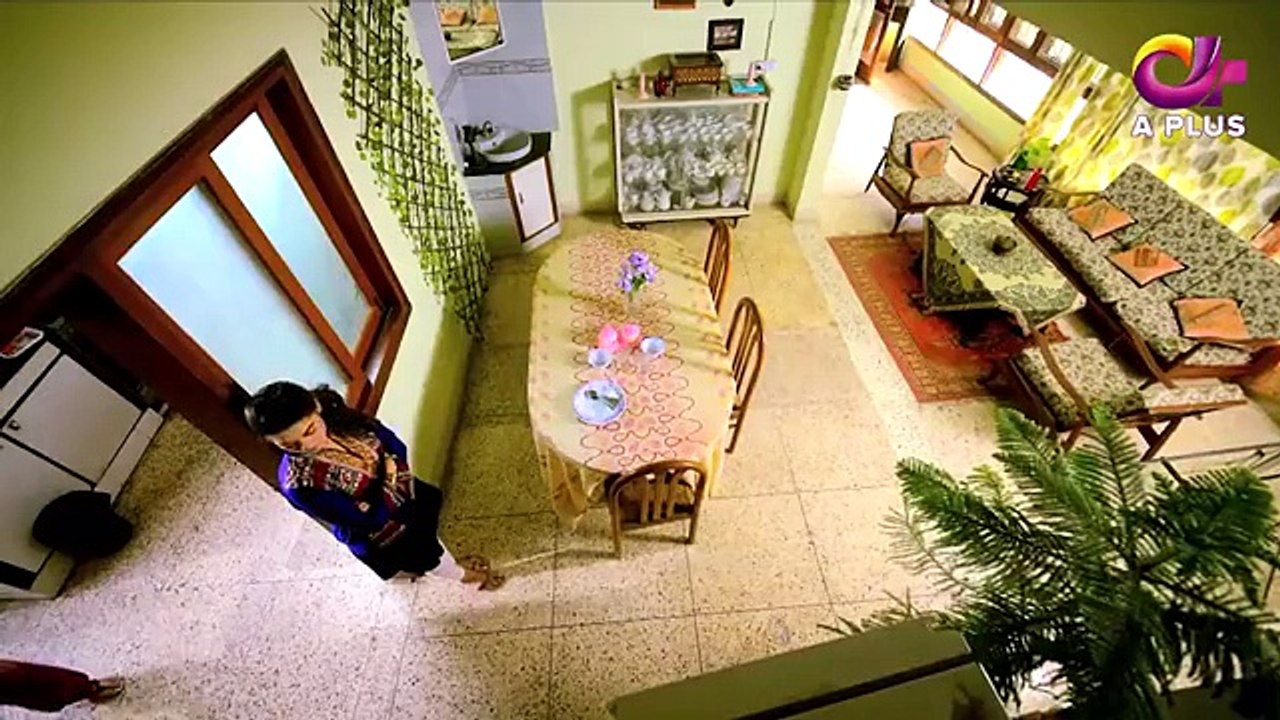 Dil Nawaz - Episode 24