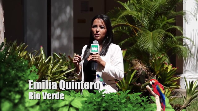 II Simposio sobre la ecologia y conservación del Caimán del Orinoco junto a Fundación Yaminne