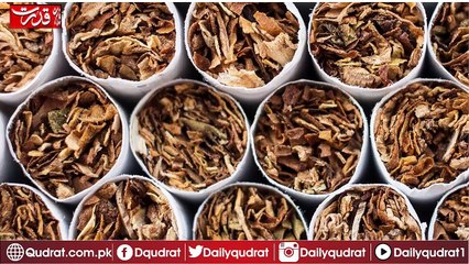 Once you see smoking, watch the video, how much poison is they inside