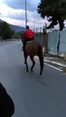 Un homme s’entraine pour une course illégale de chevaux dans la rue