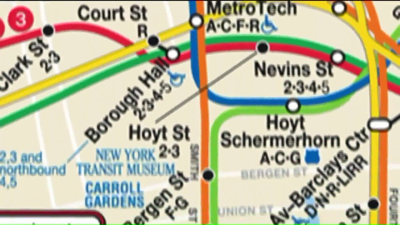 Poodle Rescued from Subway Tracks in NYC