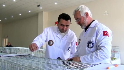 4. Hünkari ve Manisa Azmanı Güzellik Yarışması - MANİSA