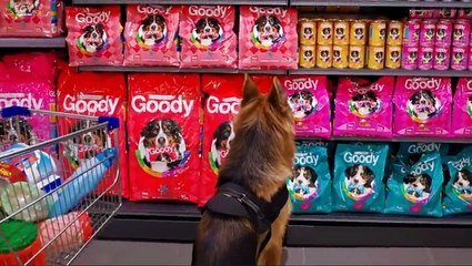 فيلم ماكس وعنتر 2016 كامل الجزء الاول