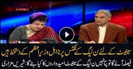 Mazari says court decision can affect PML-N Senate nominees