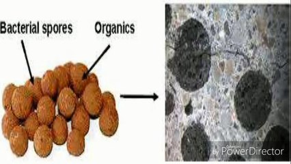 self-Healing Concrete