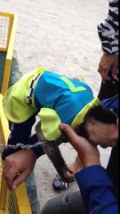 Un singe de cirque pleure en voyant un homme qu'il n'a pas vu depuis 1 ans
