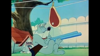 My-Cartoon For Kids Tom And Jerry English Ep. - Love That Pup  - Cartoons For Kids Tv