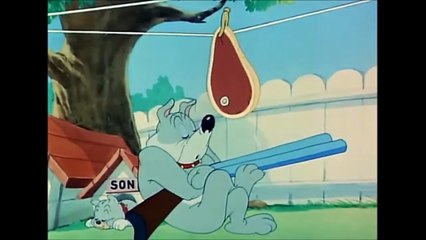 My-Cartoon For Kids Tom And Jerry English Ep. - Love That Pup  - Cartoons For Kids Tv