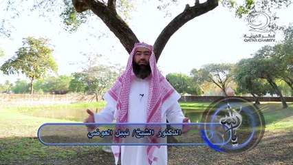 نبيل العوضي برنامج الله ياالله الحلقة 17