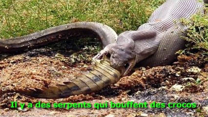 29 photos qui prouvent que l'Australie est vraiment un pays de fou