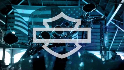 The Bond of Custom | Harley-Davidson