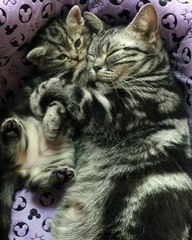 "Wake up, mommy! It's time to play!"