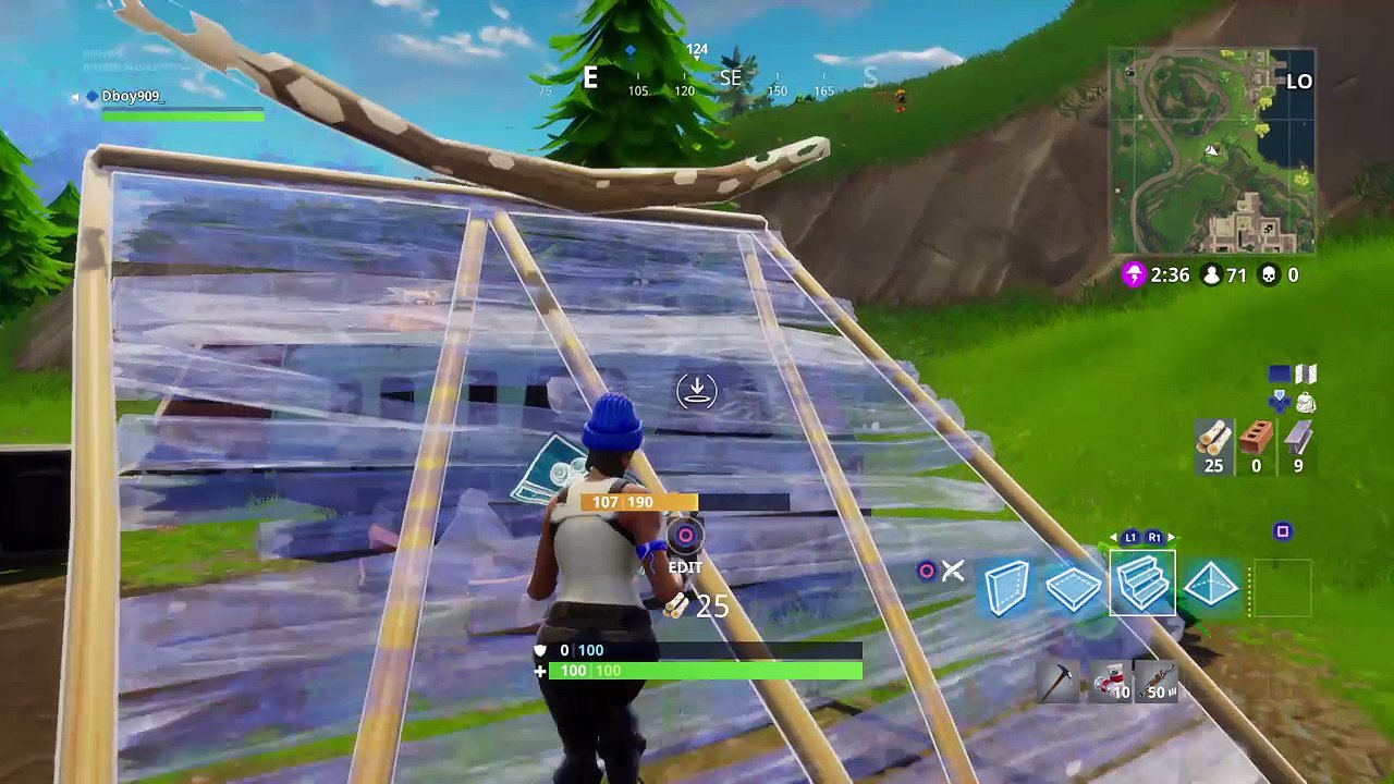Fortnite