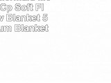 CafePress  Mermaid Moon 9 X 12 Cp  Soft Fleece Throw Blanket 50x60 Stadium Blanket
