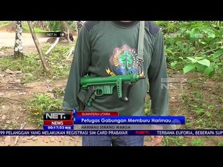 Pemburuan Harimau Yang Menyerang Warga - NET 24