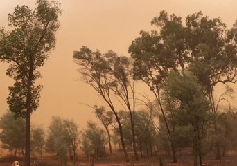 下载视频: Dust Blankets Charleville Sky