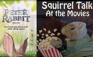 Squirrel Talk at the Movies - Peter Rabbit