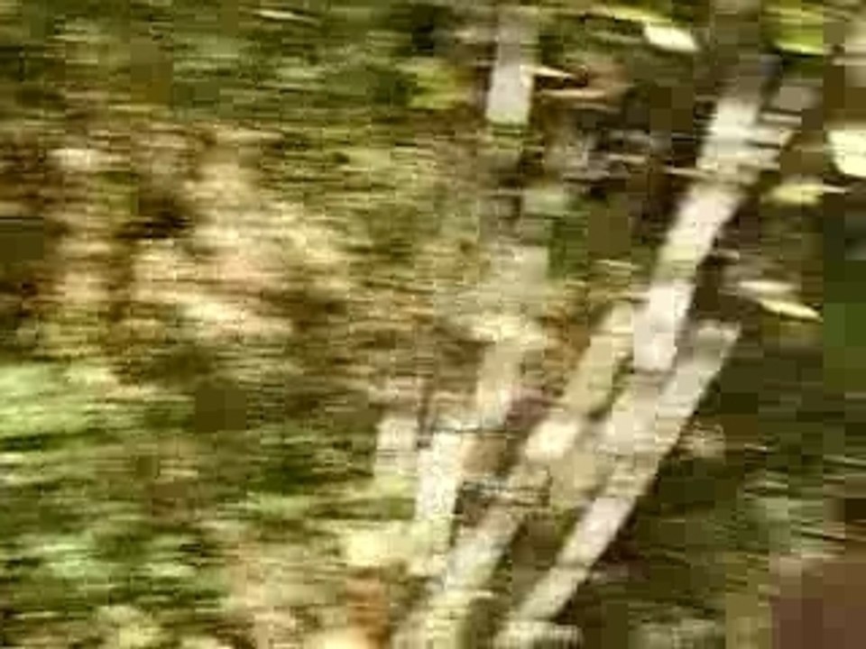 delegues65-03 vidéo