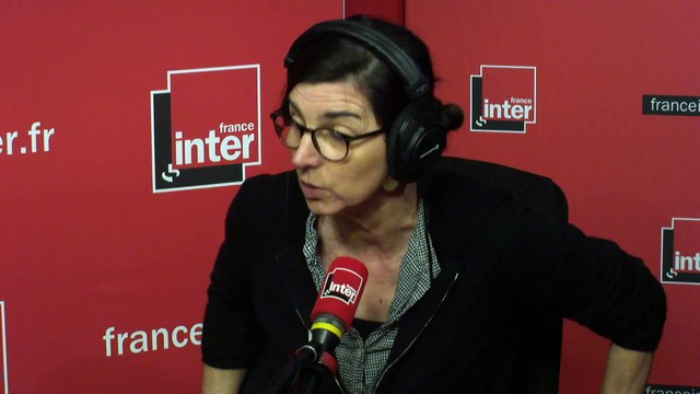 Les corridors noirs pour protéger les animaux de la pollution lumineuse - L'Edito carré