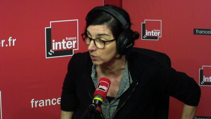 Les corridors noirs pour protéger les animaux de la pollution lumineuse - L'Edito carré