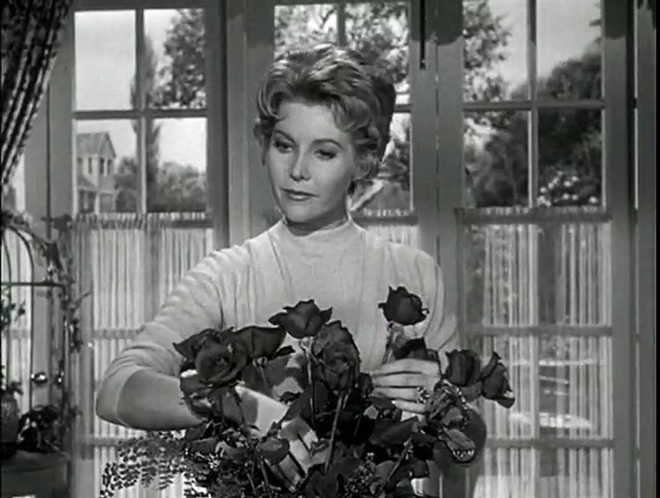 HAZEL · S01 E20 · The Investment Club video Dailymotion