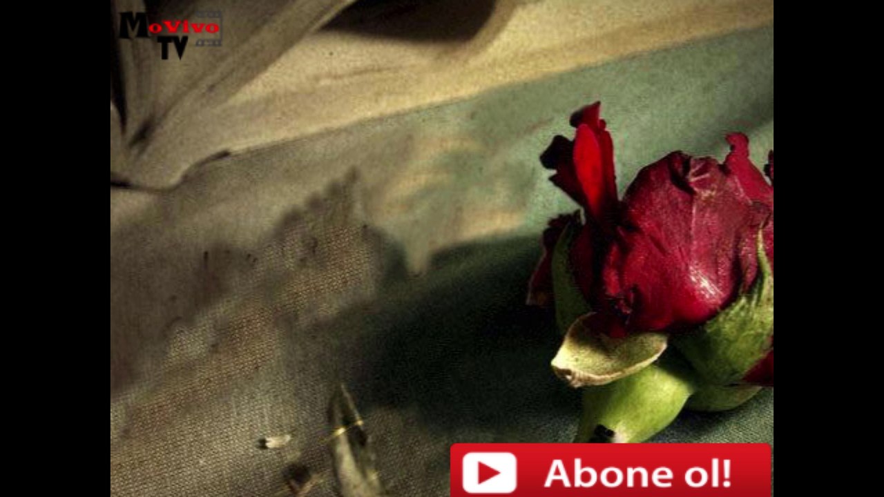 Duygusal Fon Müziği(telifsiz)