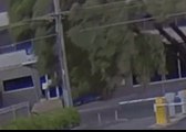 Motorist Narrowly Avoids Falling Tree in Melbourne