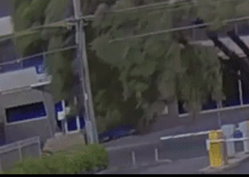 Motorist Narrowly Avoids Falling Tree in Melbourne