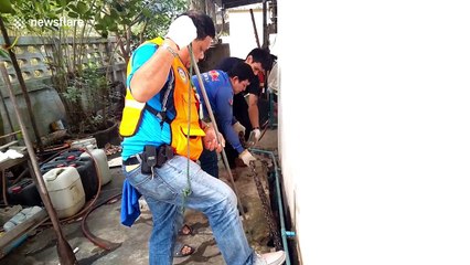 Python caught under house after eating pet cat