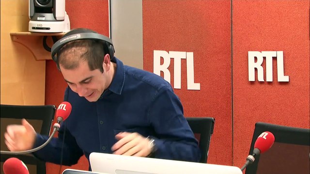 Les abeilles pourraient sauver les éléphants